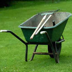 kert